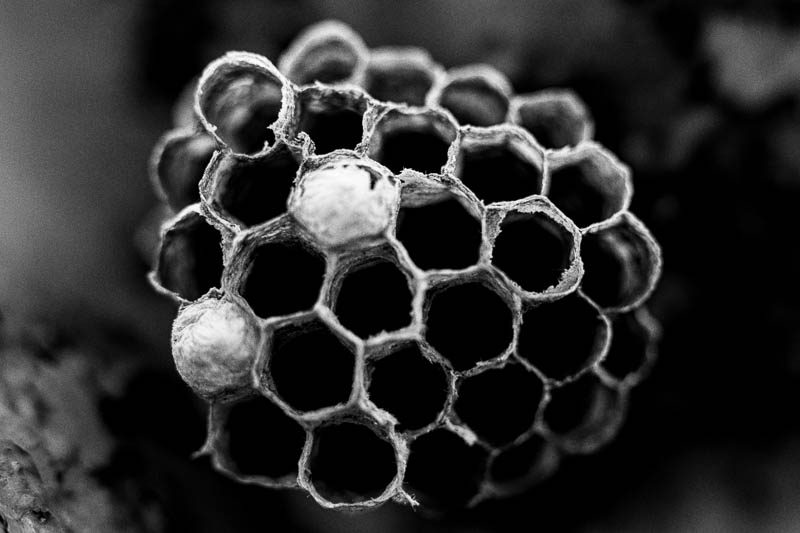 Σαπρίκης Χρίστος