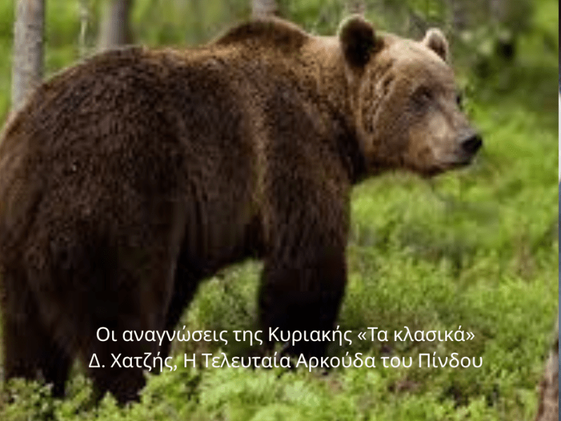 Οι αναγνώσεις της Κυριακής…Δημήτρης Χατζής